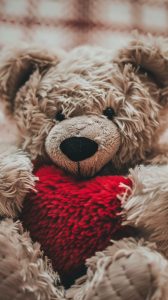 Stockcake teddy holds heart 1750083607