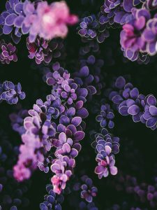 Nastia petruk fkm3bds8f3e unsplash