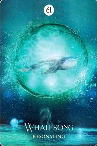 The Shamans Dream Oracle By Collette Baron Reid 🦋🦋