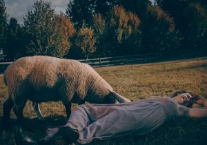 Alexandra fuller WVeuGXxGWFk unsplash