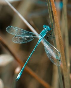 Brigitte elsner YFb6orz3AQc unsplash