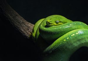 David clode 5uU8HSpfwkI unsplash