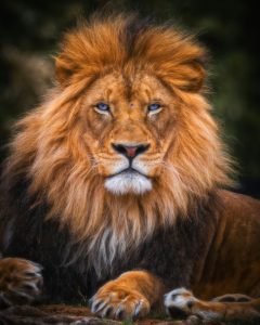 Elie khoury GidYc pS9sM unsplash (1)