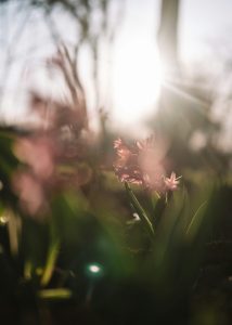 Farrinni 0sbLdnmLEQ8 unsplash