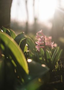 Farrinni iyGO5mL2P E unsplash