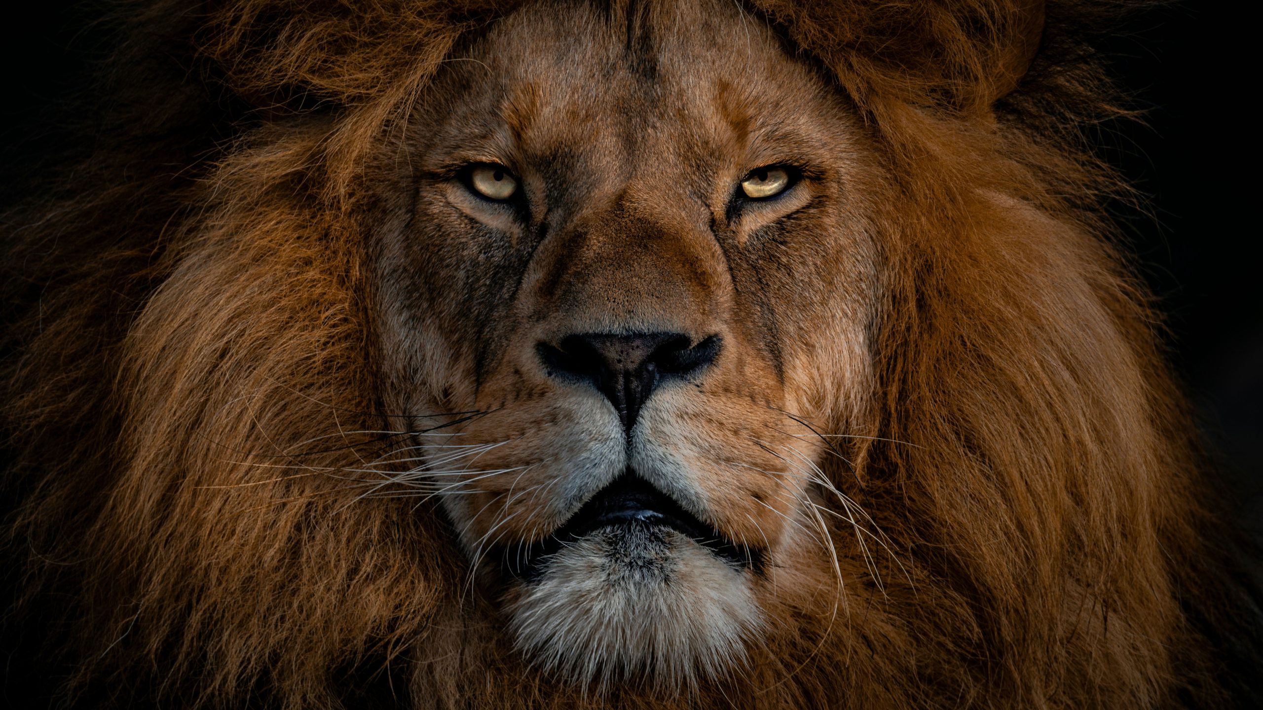 Ingo stiller 3tkxfe2GocY unsplash