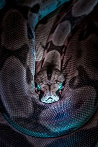 Jan kopriva EPLrqHHu2WI unsplash