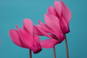 Nancy hughes st9OBqzAEDg unsplash