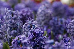 Tasha k 6DbEask3 ac unsplash