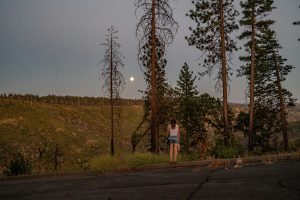 Megan o hanlon D6M4Yp WEco unsplash