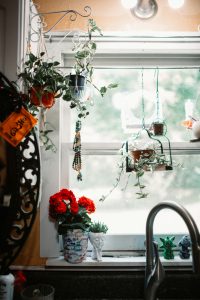 Nani williams tSMuFUhnObg unsplash